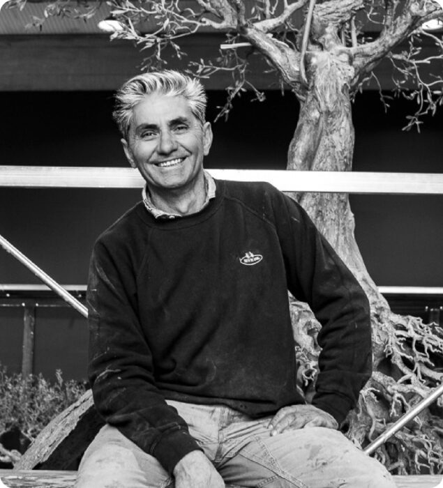 Il maestro Andrea Roggi